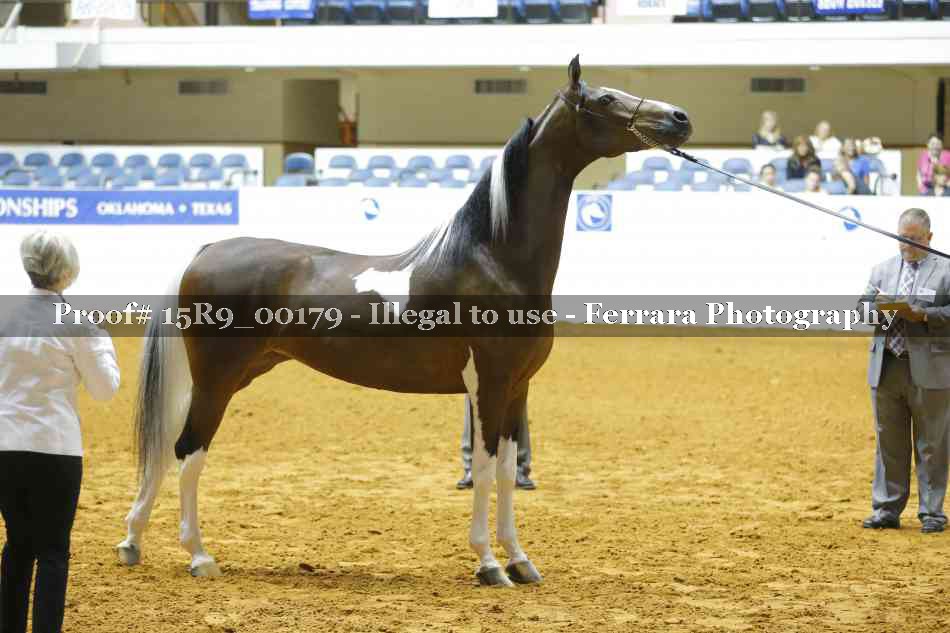 Proof Number 15R9_00179