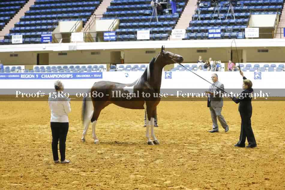 Proof Number 15R9_00180