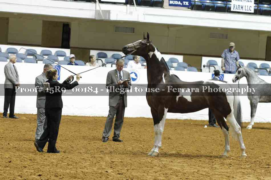 Proof Number 15R9_00184