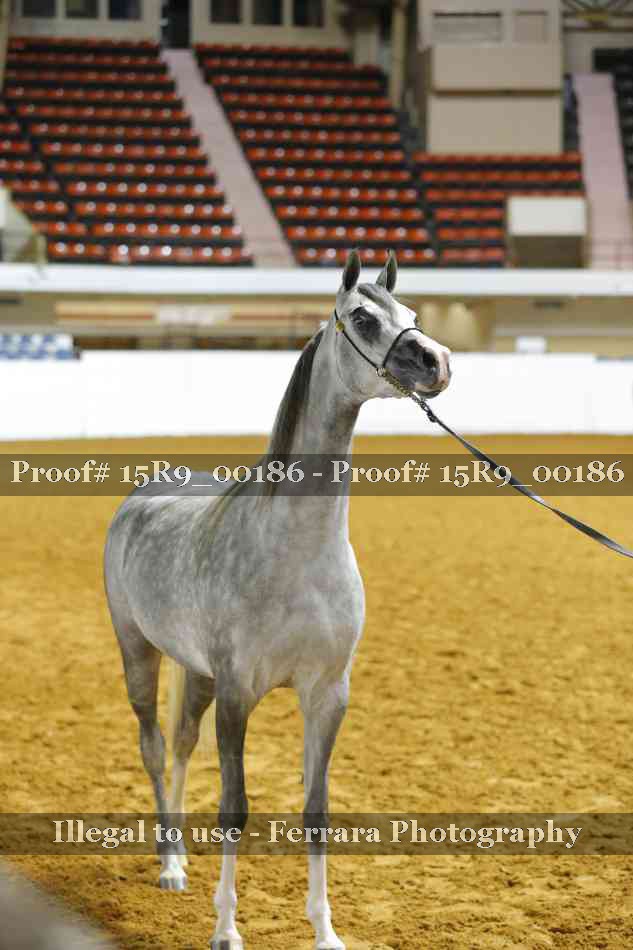 Proof Number 15R9_00186