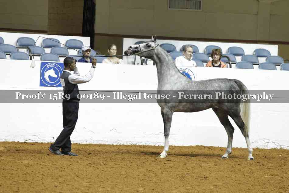 Proof Number 15R9_00189