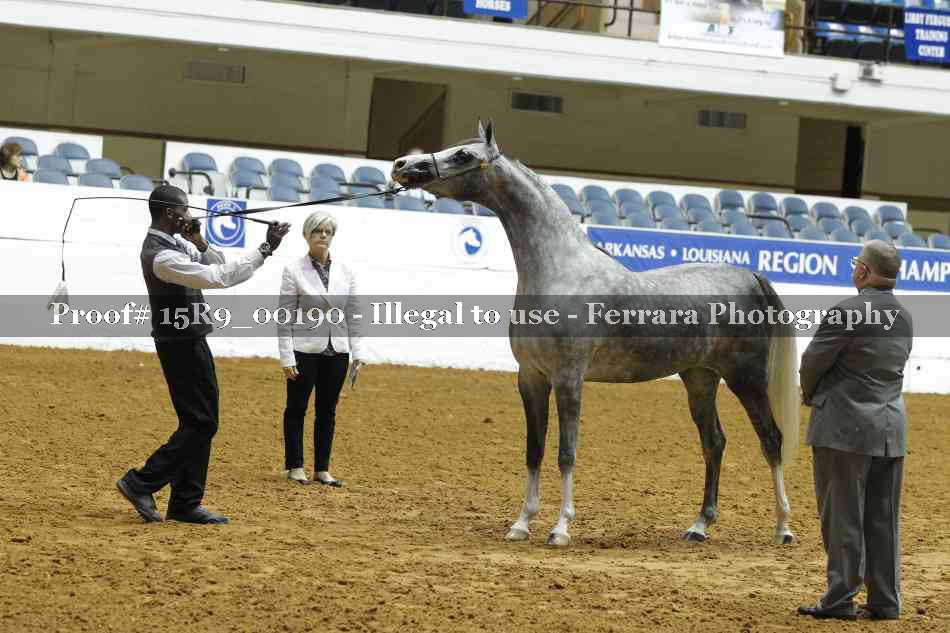Proof Number 15R9_00190