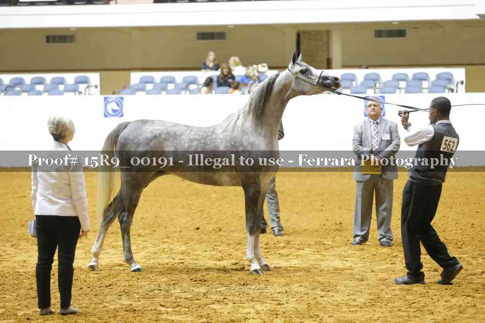 Proof Number 15R9_00191