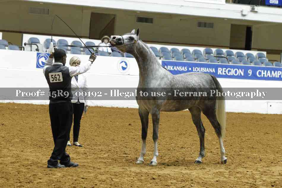 Proof Number 15R9_00192