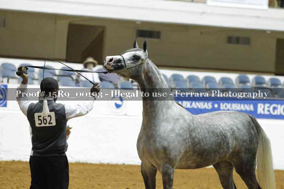 Proof Number 15R9_00193