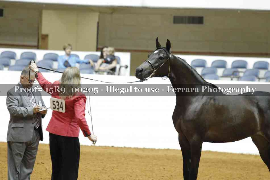 Proof Number 15R9_00205