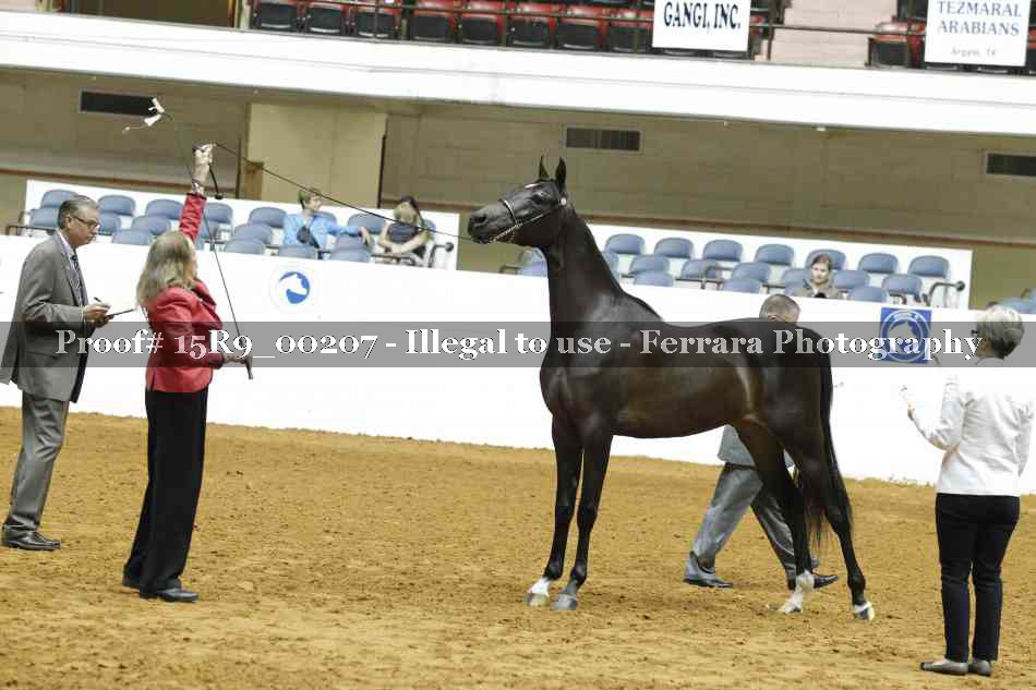 Proof Number 15R9_00207