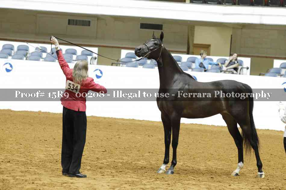 Proof Number 15R9_00208
