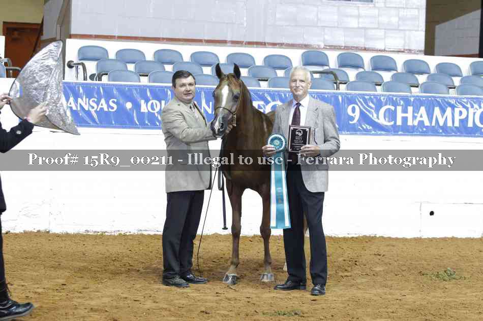 Proof Number 15R9_00211