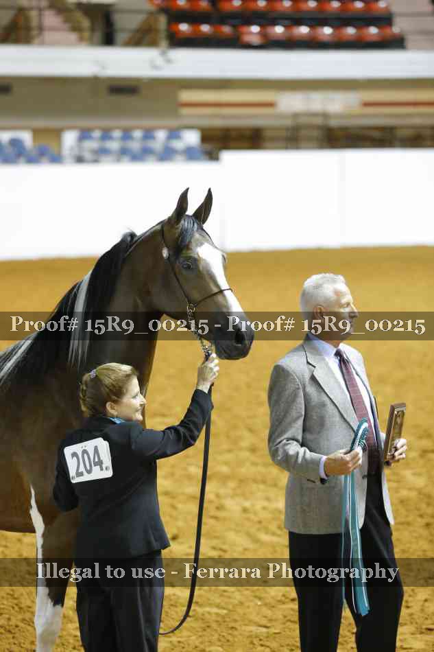 Proof Number 15R9_00215