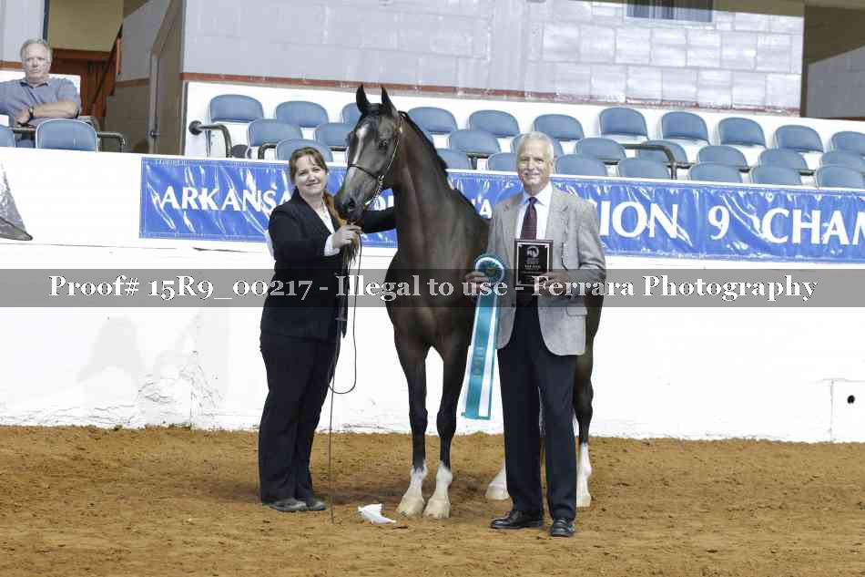 Proof Number 15R9_00217
