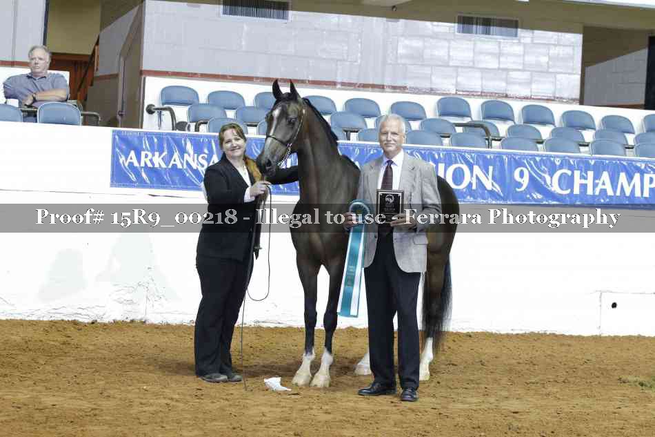 Proof Number 15R9_00218