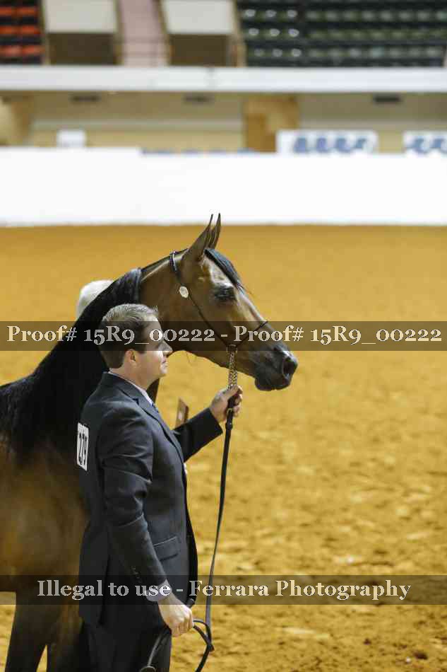 Proof Number 15R9_00222