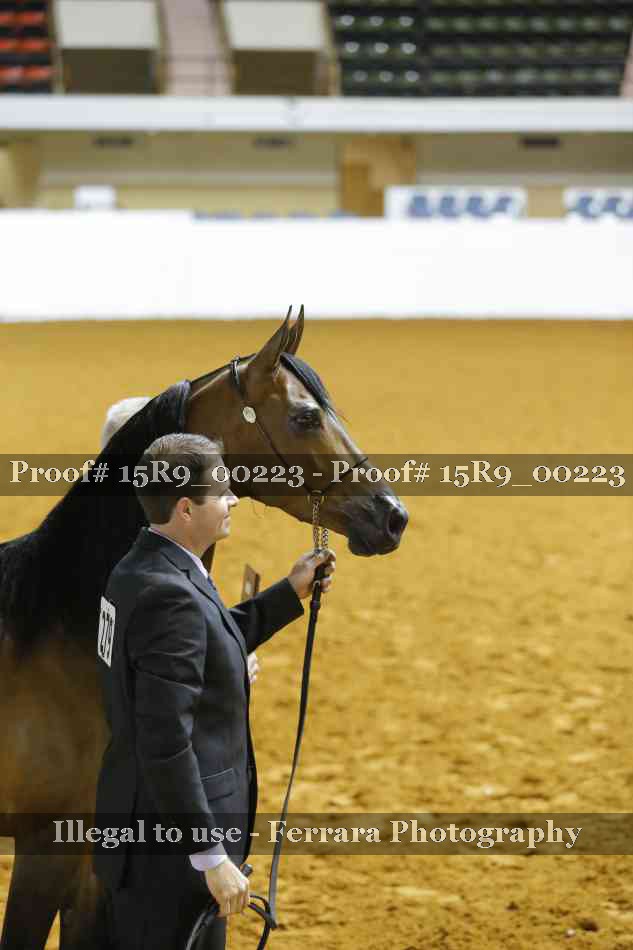 Proof Number 15R9_00223