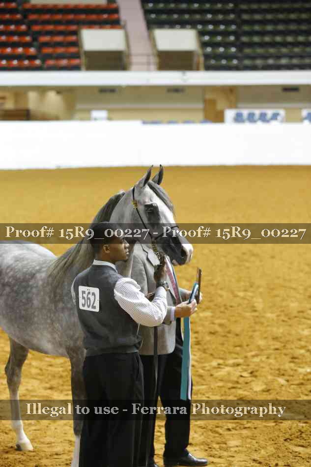 Proof Number 15R9_00227