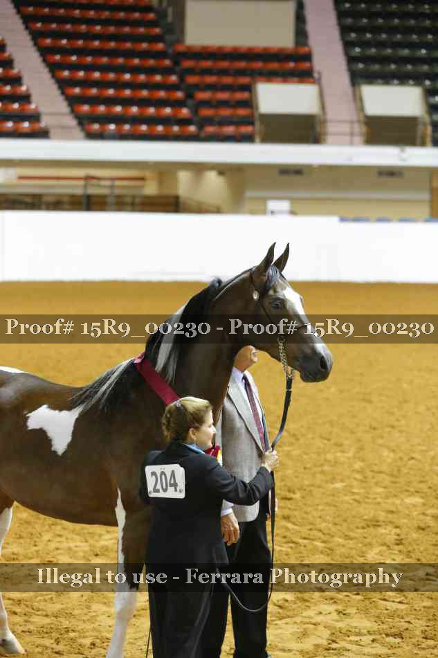 Proof Number 15R9_00230