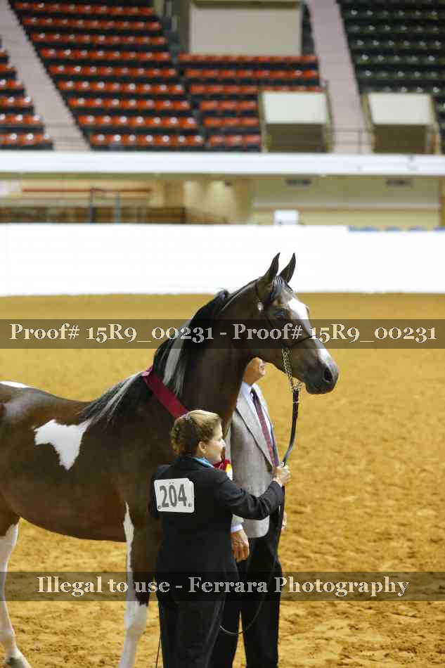 Proof Number 15R9_00231