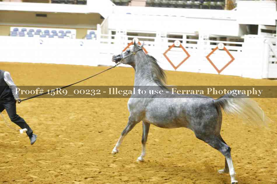 Proof Number 15R9_00232