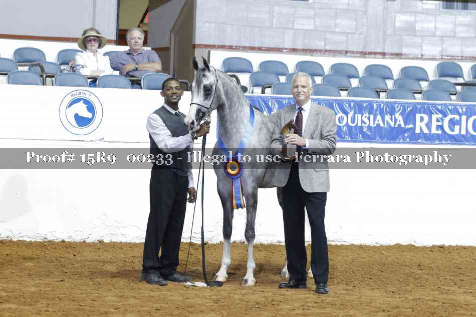 Proof Number 15R9_00233
