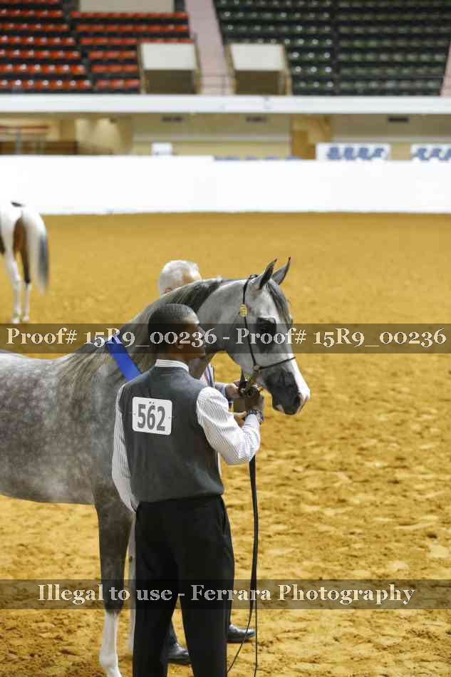 Proof Number 15R9_00236