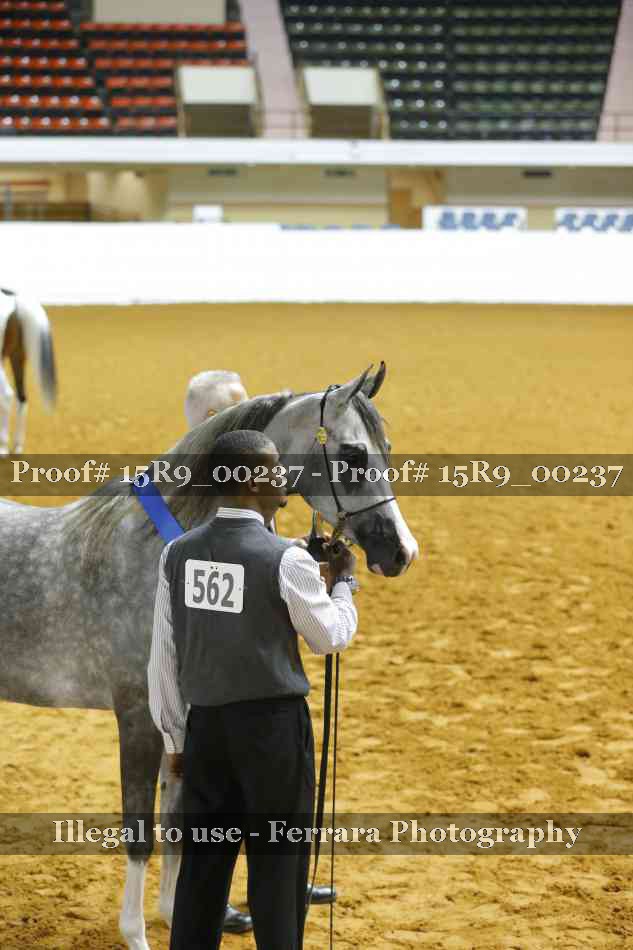 Proof Number 15R9_00237