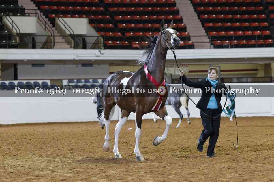 Proof Number 15R9_00238