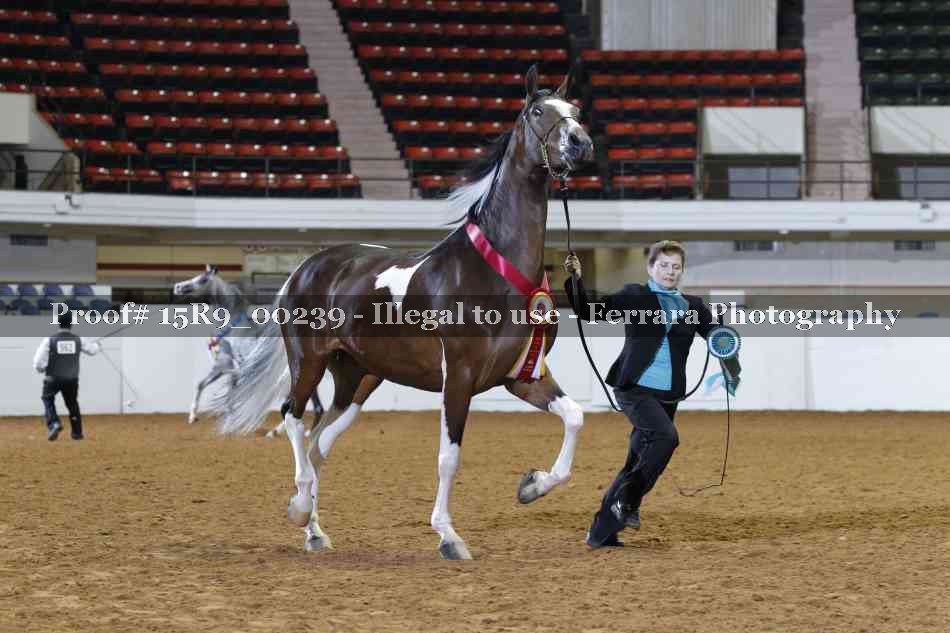 Proof Number 15R9_00239
