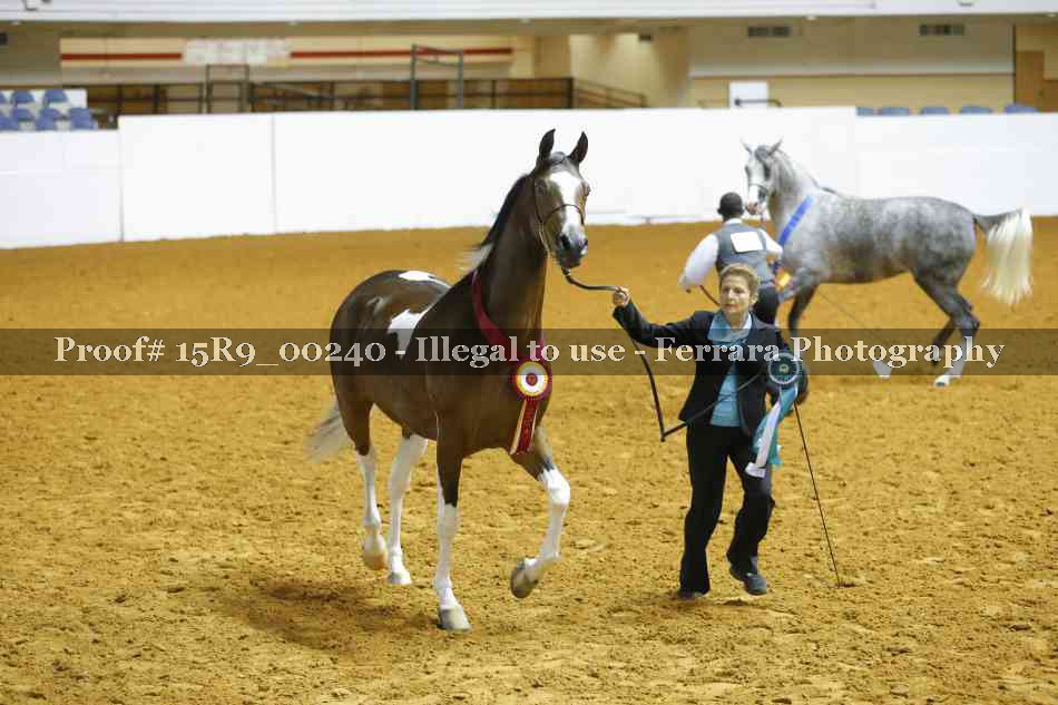Proof Number 15R9_00240