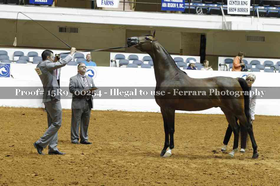 Proof Number 15R9_00254