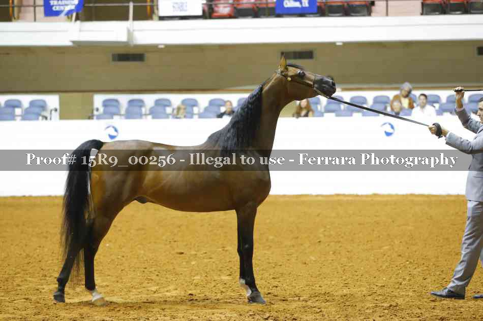 Proof Number 15R9_00256