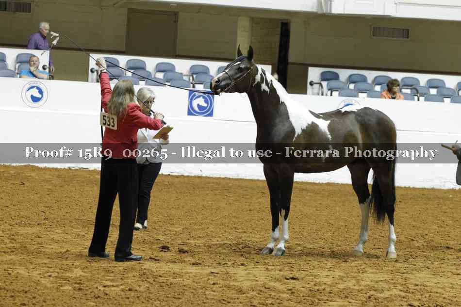 Proof Number 15R9_00265