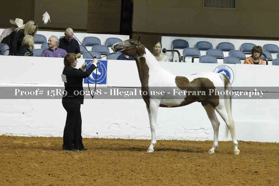 Proof Number 15R9_00268