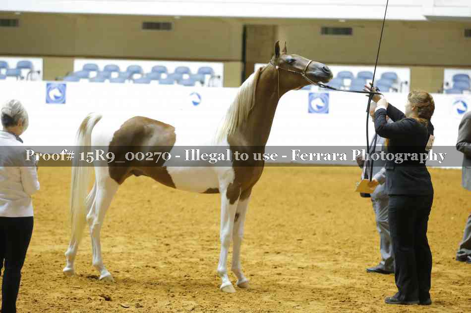 Proof Number 15R9_00270