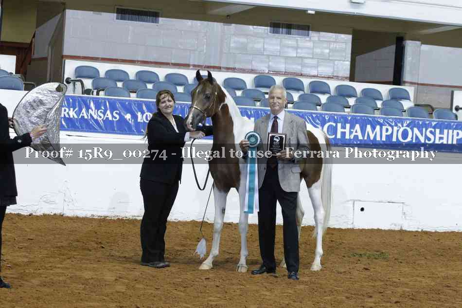 Proof Number 15R9_00274