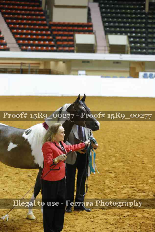 Proof Number 15R9_00277