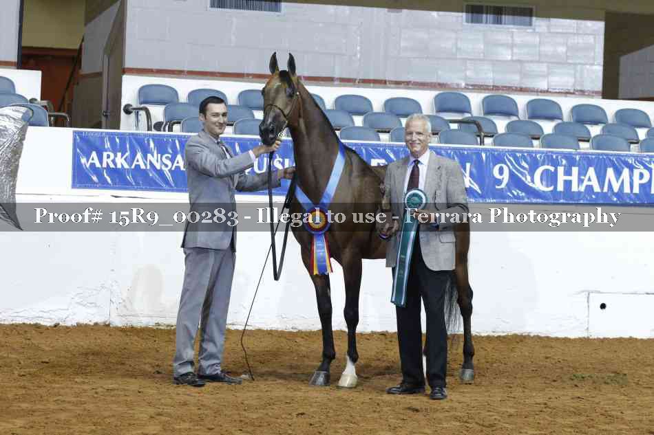 Proof Number 15R9_00283