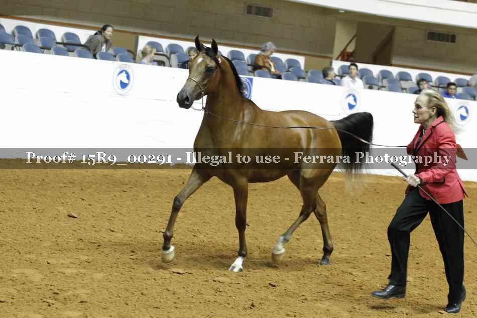 Proof Number 15R9_00291
