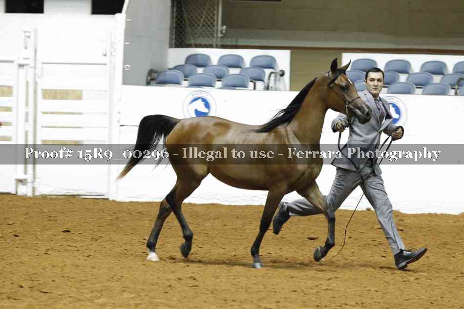 Proof Number 15R9_00296
