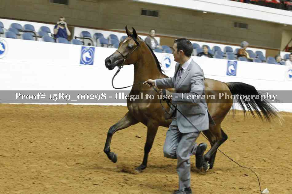 Proof Number 15R9_00298