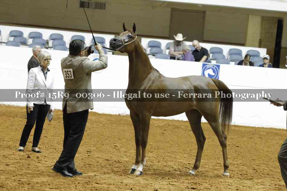 Proof Number 15R9_00306