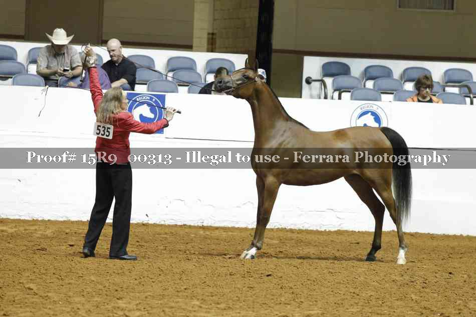 Proof Number 15R9_00313