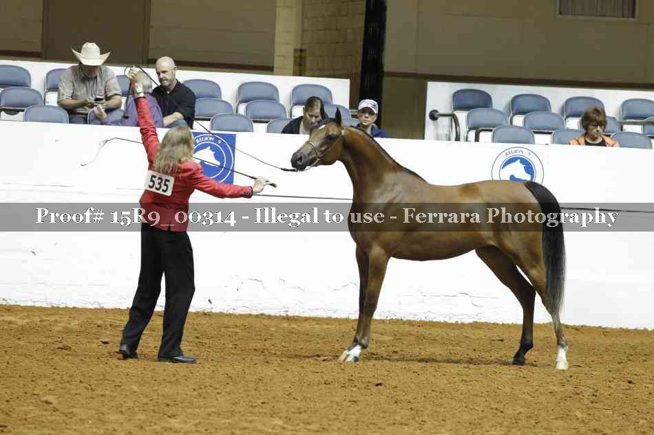 Proof Number 15R9_00314
