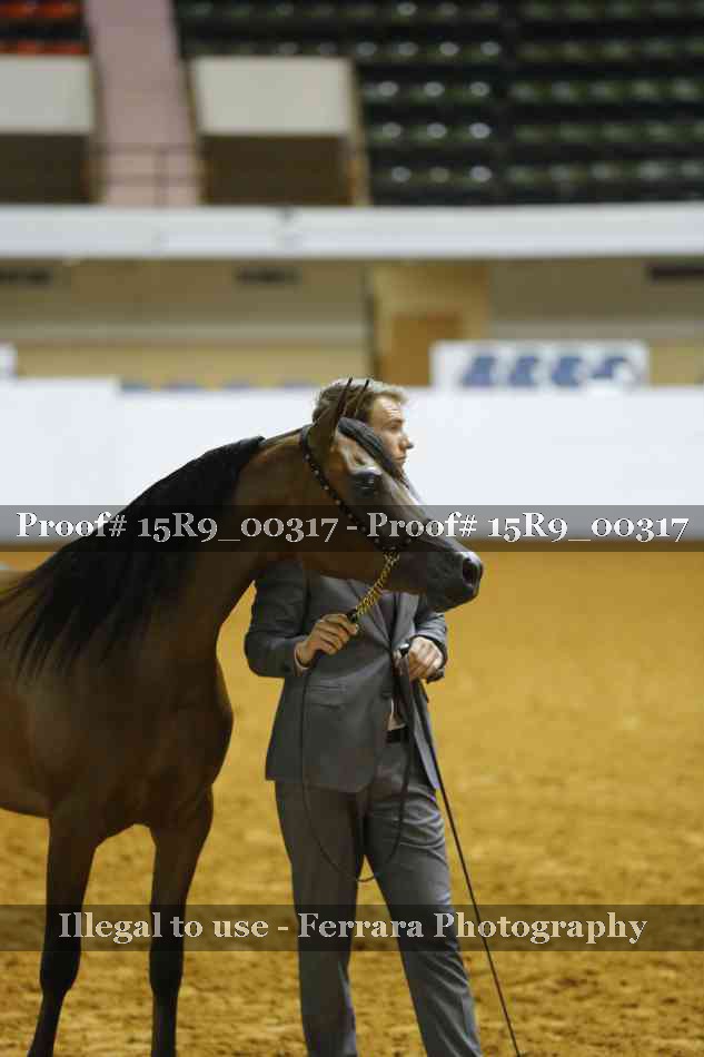 Proof Number 15R9_00317
