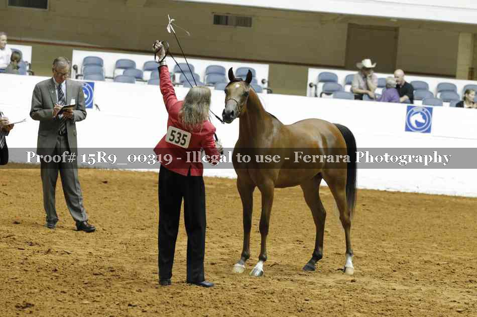 Proof Number 15R9_00319