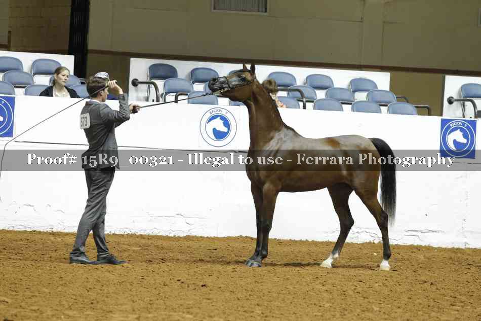 Proof Number 15R9_00321