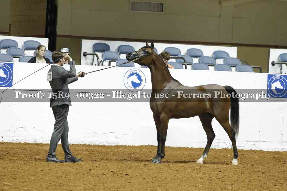 Proof Number 15R9_00322