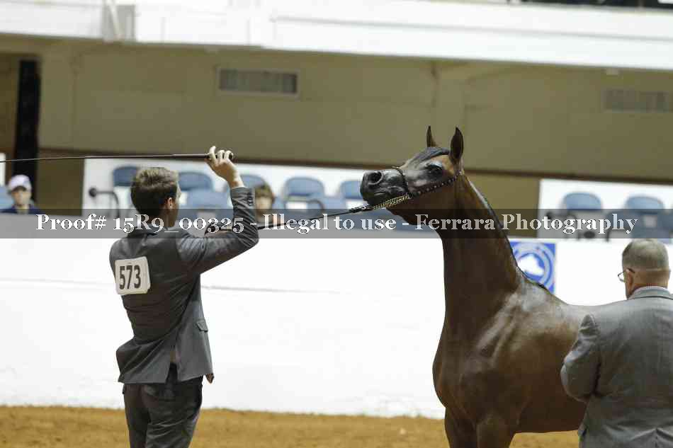 Proof Number 15R9_00325