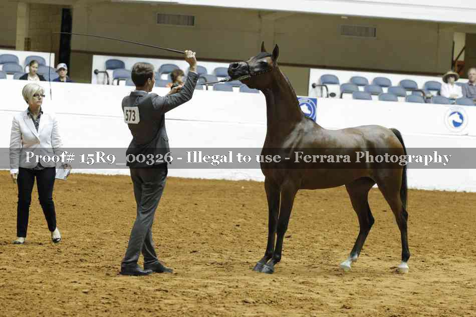 Proof Number 15R9_00326