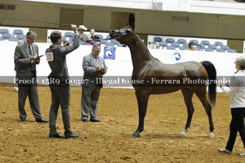 Proof Number 15R9_00327