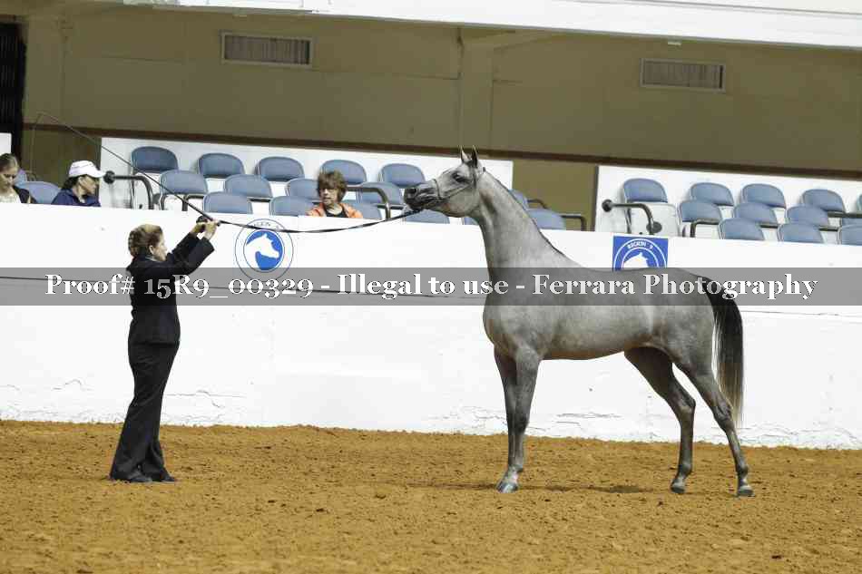 Proof Number 15R9_00329